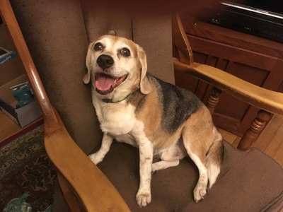 What a happy boy