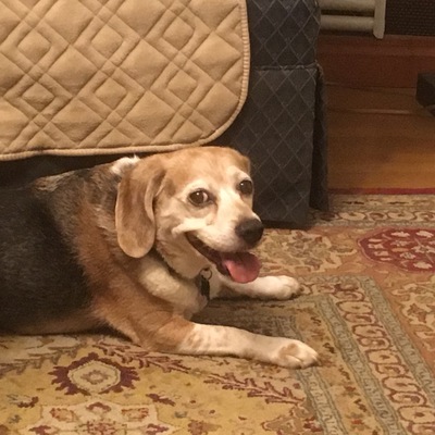 ...and back to his happy self